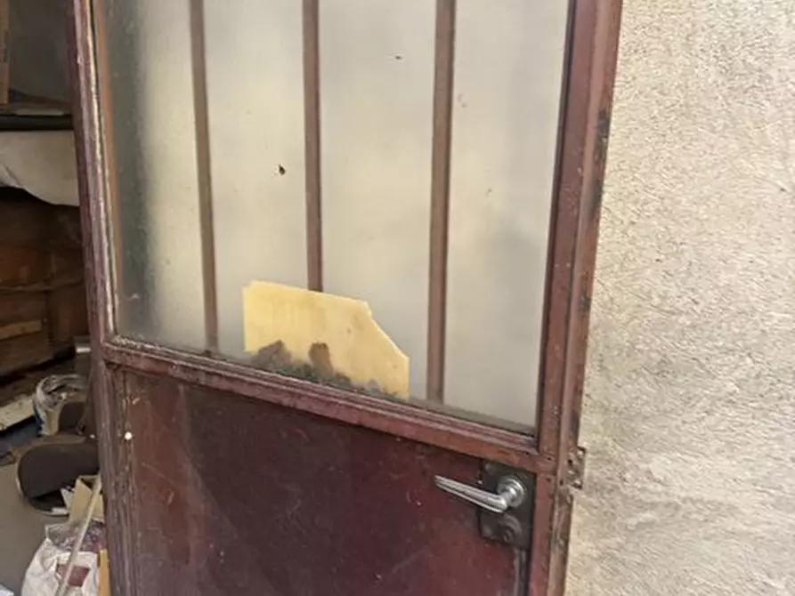 Immagine 21 di Capannone industriale in vendita  a Collegno