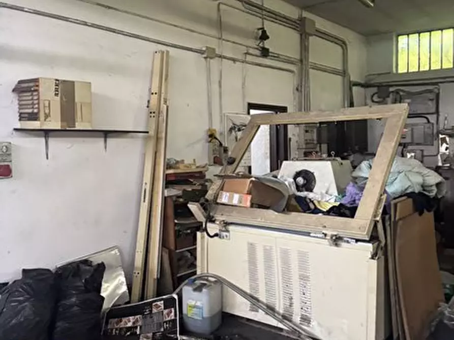 Immagine 4 di Capannone industriale in vendita  a Collegno