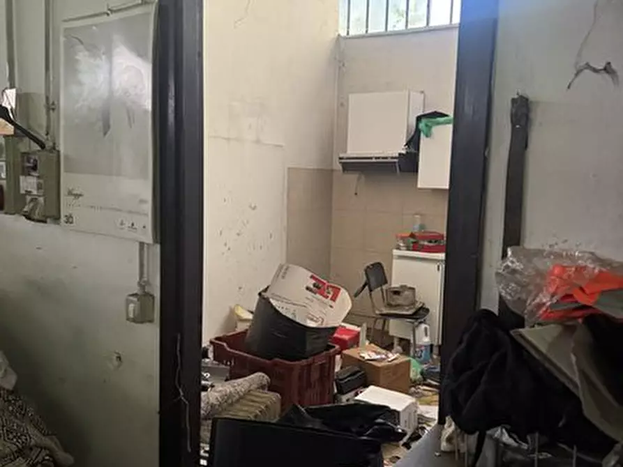 Immagine 9 di Capannone industriale in vendita  a Collegno