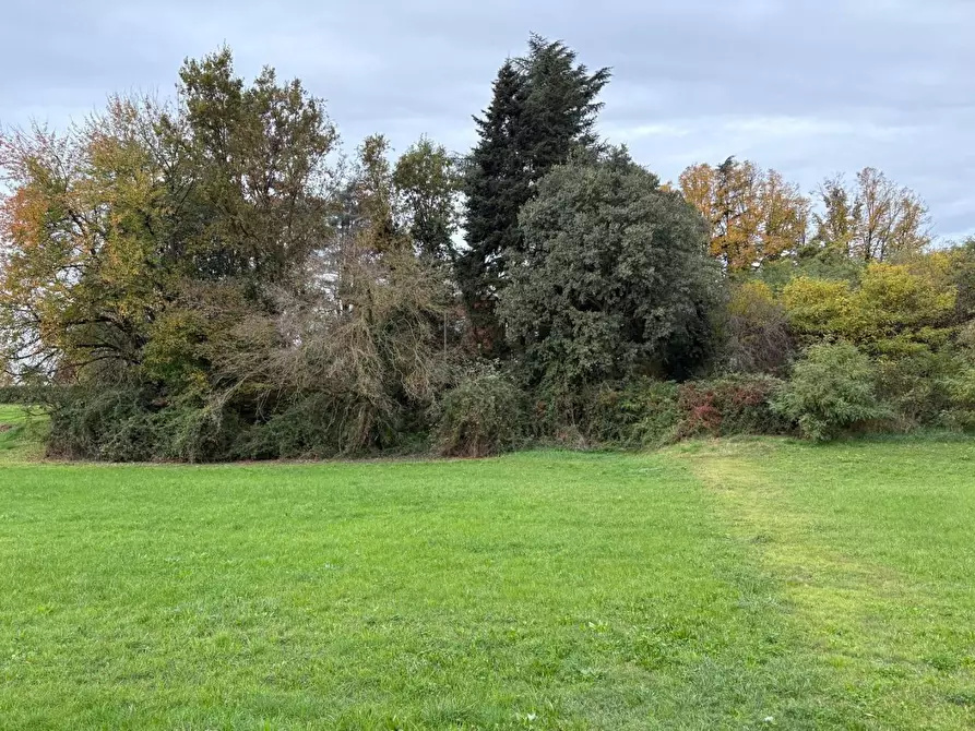 Immagine 3 di Villa in vendita  a Borgomasino