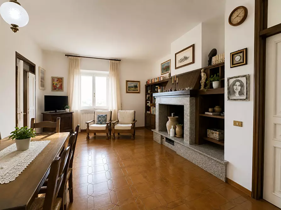 Immagine 10 di Appartamento in vendita  a Bibbona