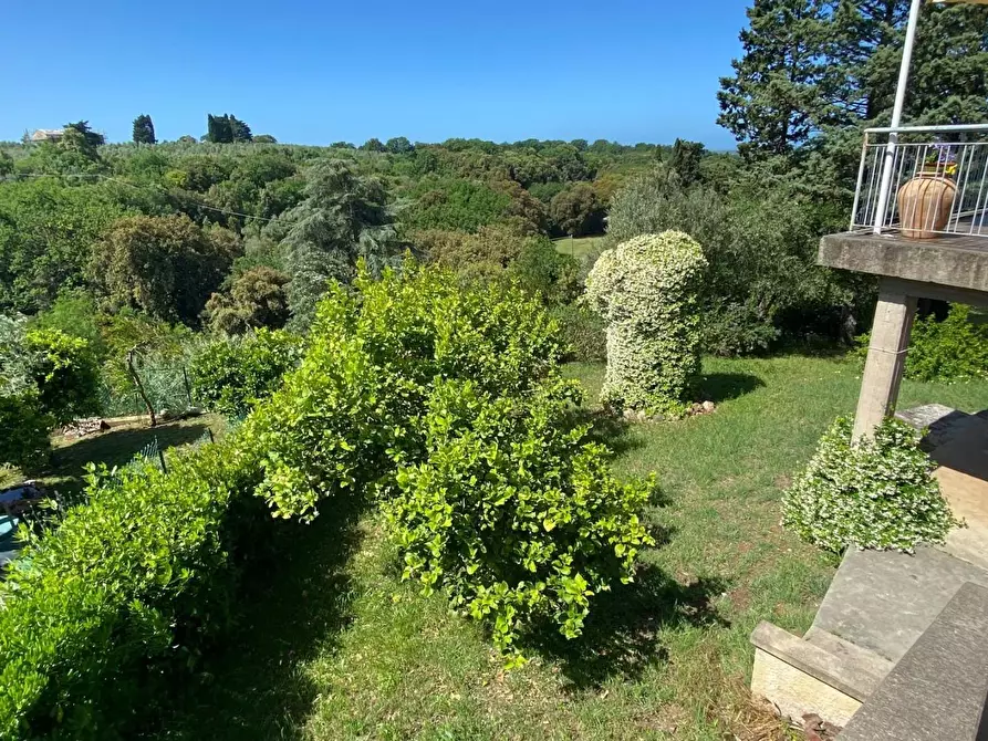 Immagine 42 di Appartamento in vendita  a Bibbona