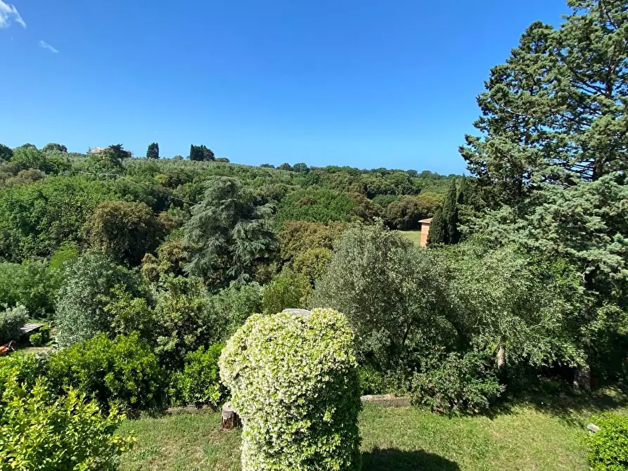 Immagine 47 di Appartamento in vendita  a Bibbona