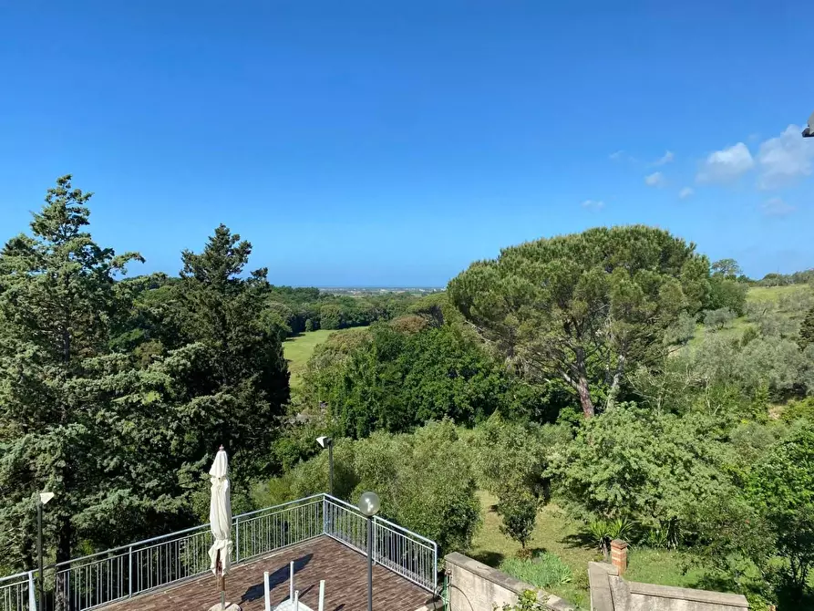 Immagine 54 di Appartamento in vendita  a Bibbona