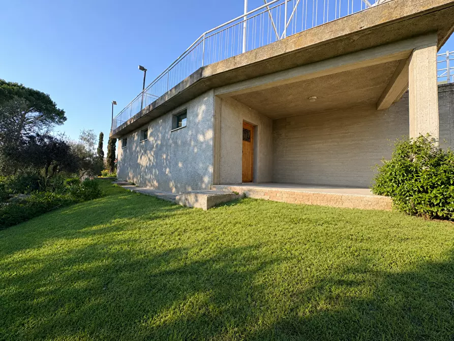 Immagine 32 di Appartamento in vendita  a Bibbona
