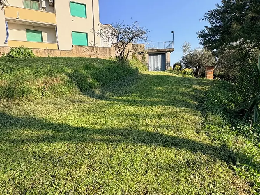 Immagine 40 di Appartamento in vendita  a Bibbona