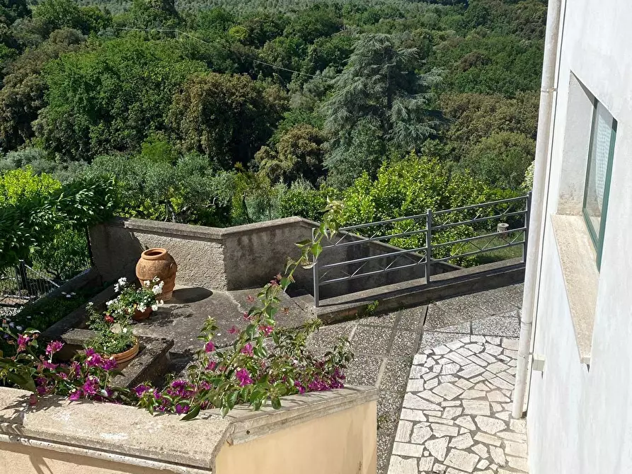 Immagine 52 di Appartamento in vendita  a Bibbona