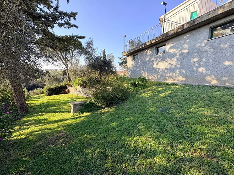 Immagine 33 di Appartamento in vendita  a Bibbona