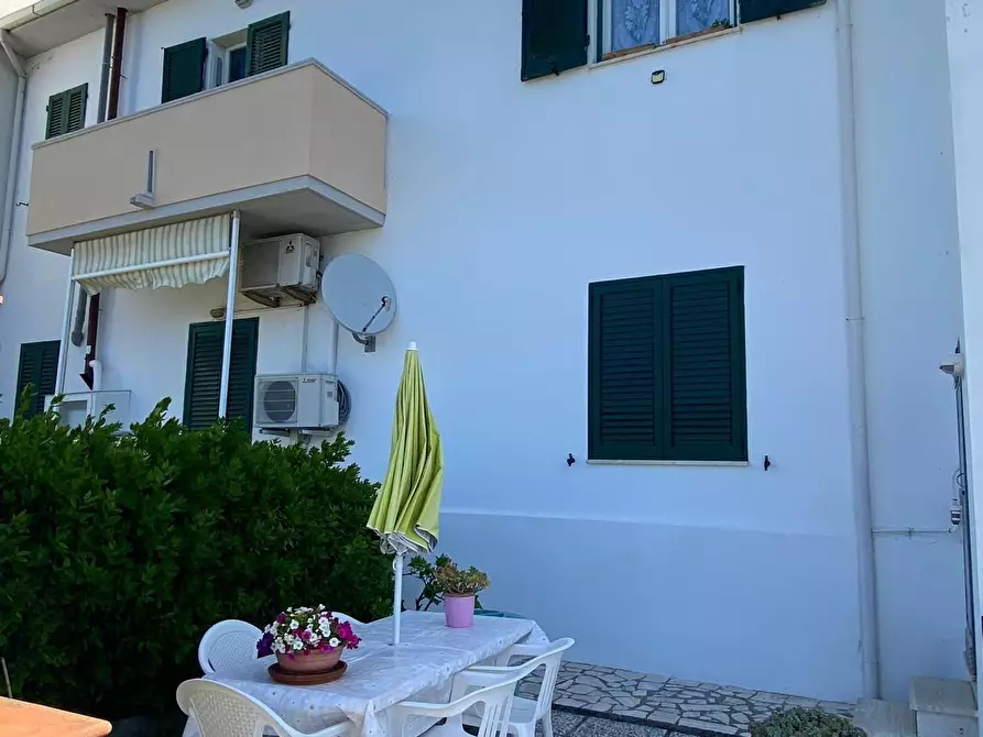 Immagine 44 di Appartamento in vendita  a Bibbona