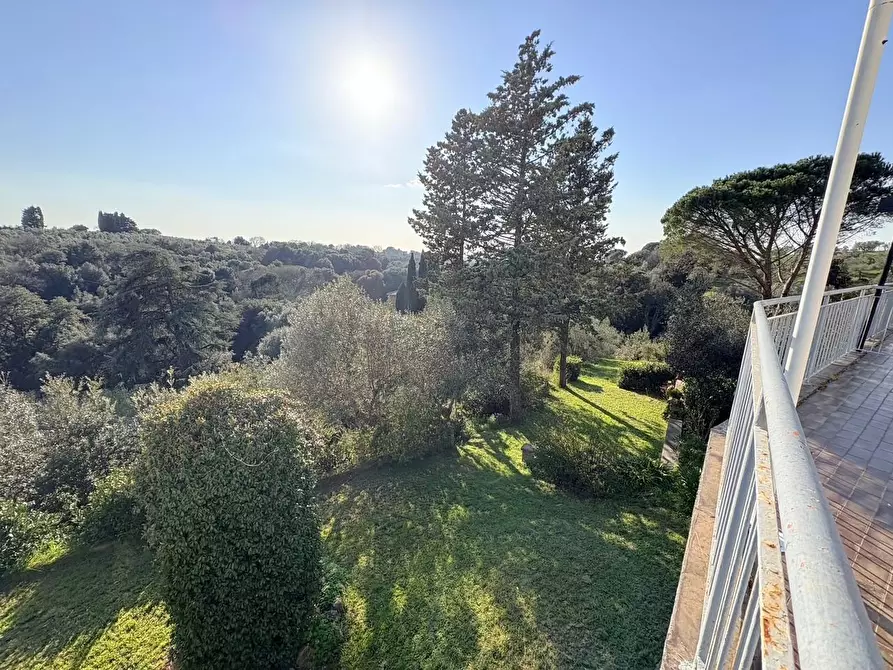 Immagine 30 di Appartamento in vendita  a Bibbona