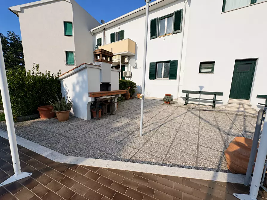 Immagine 29 di Appartamento in vendita  a Bibbona