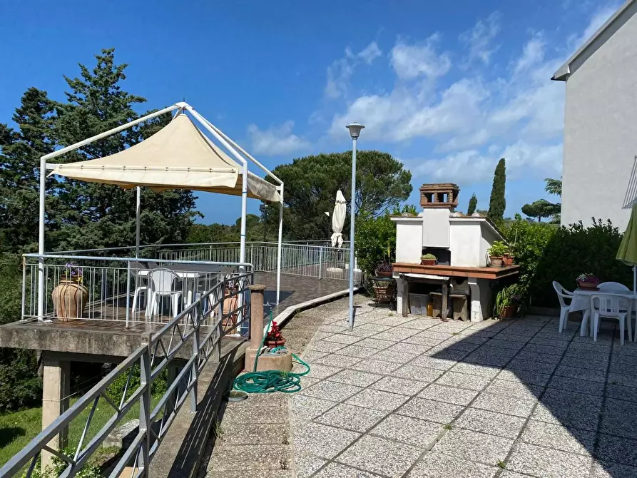 Immagine 51 di Appartamento in vendita  a Bibbona