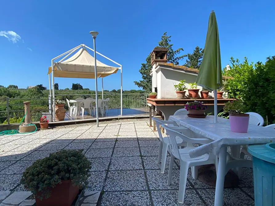 Immagine 49 di Appartamento in vendita  a Bibbona