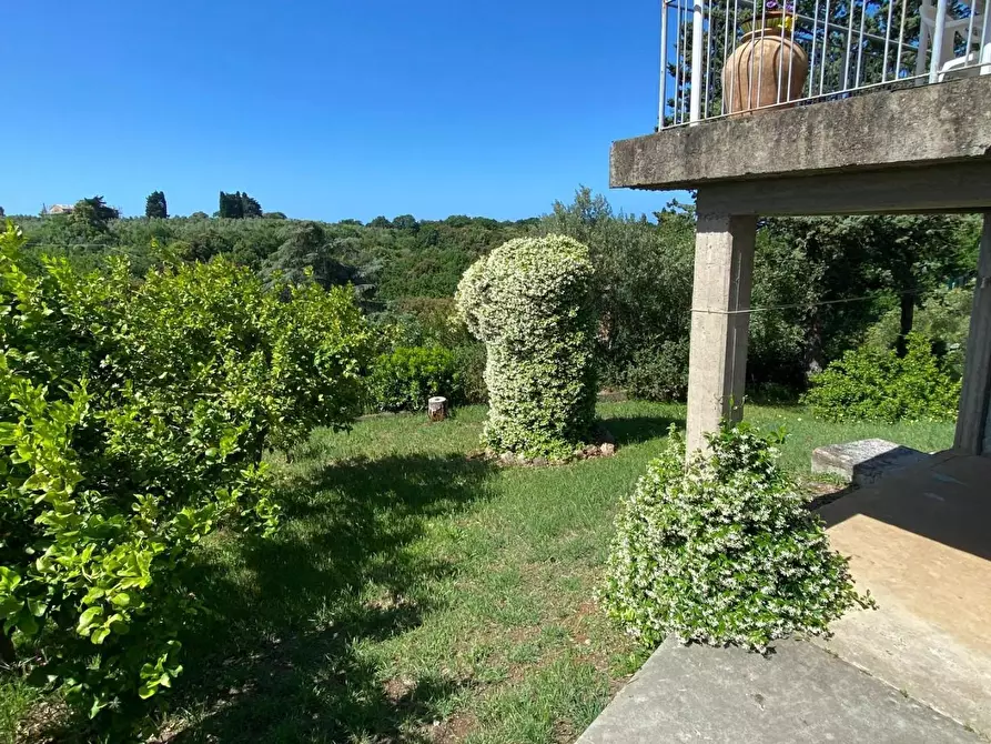 Immagine 41 di Appartamento in vendita  a Bibbona