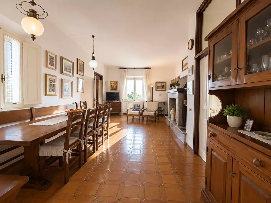Immagine 9 di Appartamento in vendita  a Bibbona