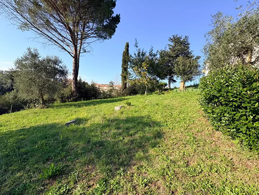 Immagine 35 di Appartamento in vendita  a Bibbona