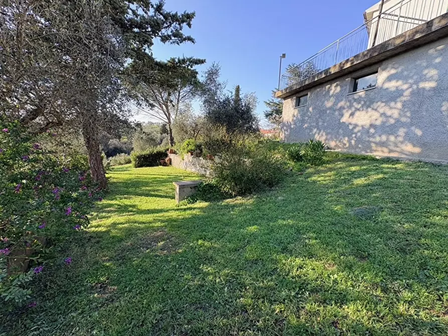 Immagine 38 di Appartamento in vendita  a Bibbona