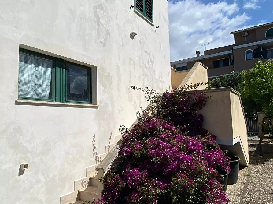 Immagine 43 di Appartamento in vendita  a Bibbona