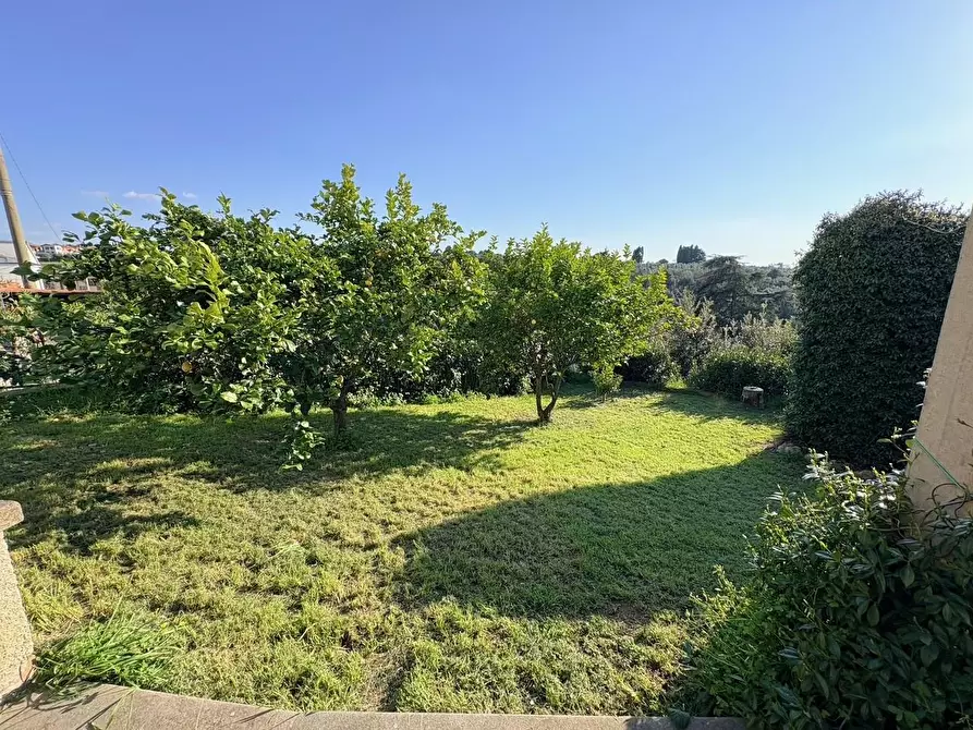 Immagine 37 di Appartamento in vendita  a Bibbona