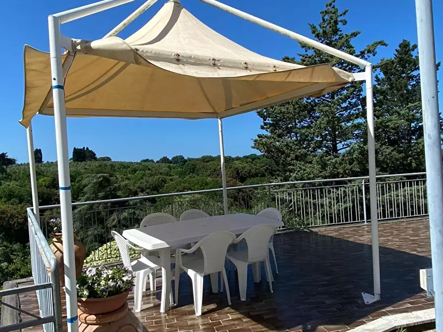 Immagine 46 di Appartamento in vendita  a Bibbona