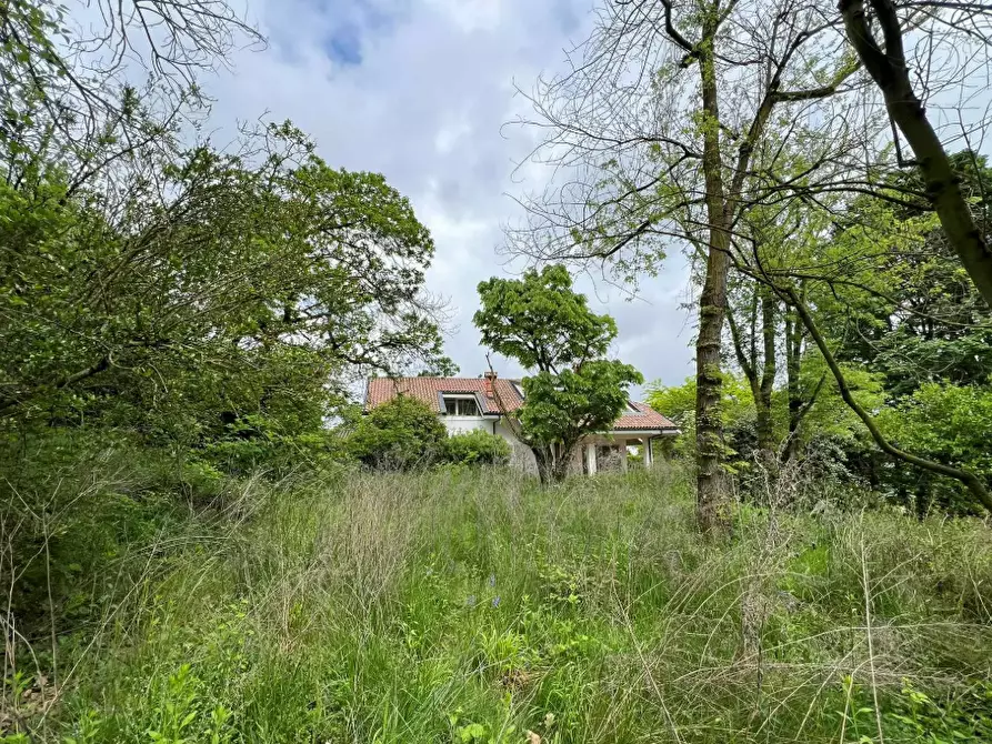 Immagine 3 di Villa in vendita  a Moncalieri