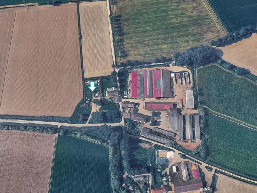 Immagine 1 di Terreno agricolo in vendita  a Terranova Dei Passerini