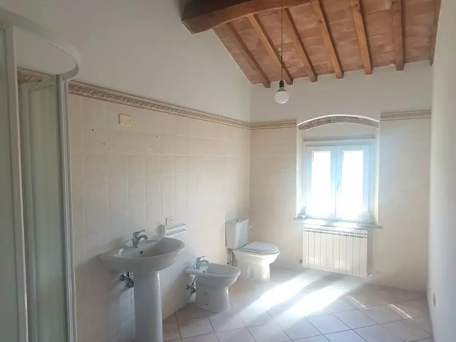 Immagine 45 di Terratetto in vendita  a Capannori