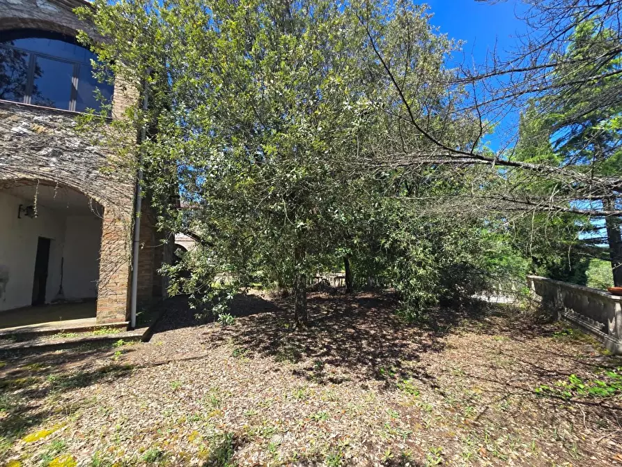 Immagine 7 di Casa indipendente in vendita  a Chiusdino