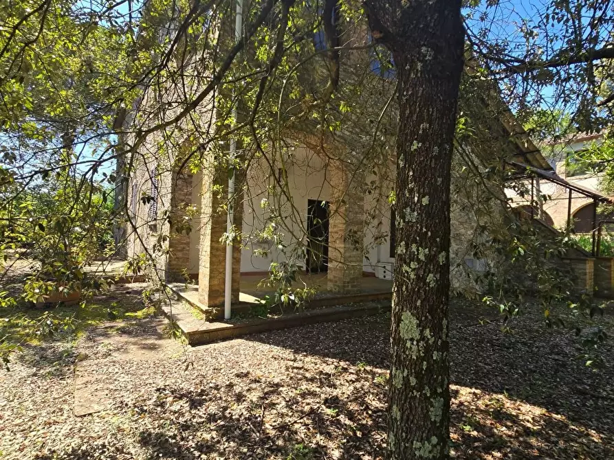 Immagine 12 di Casa indipendente in vendita  a Chiusdino