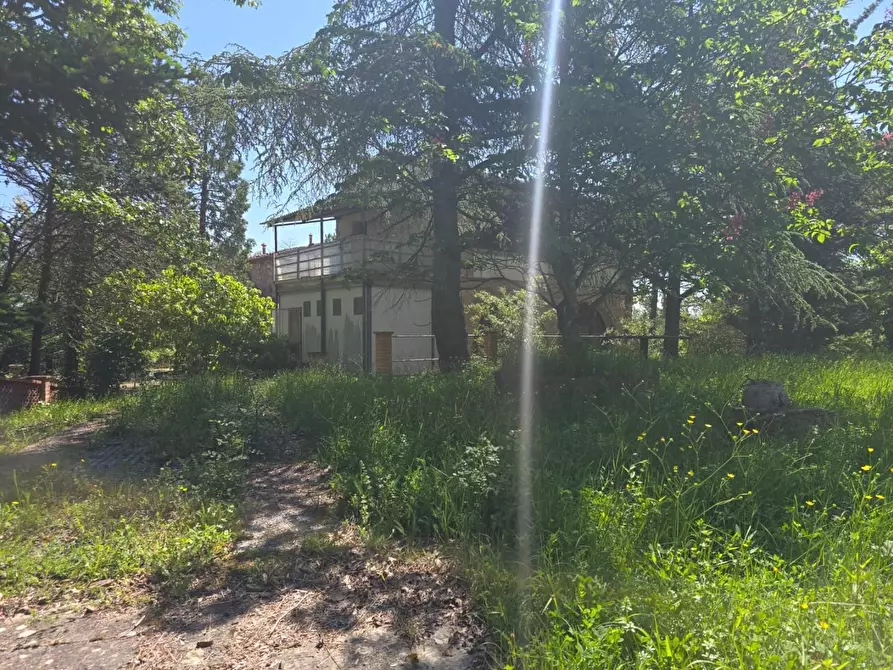 Immagine 18 di Casa indipendente in vendita  a Chiusdino