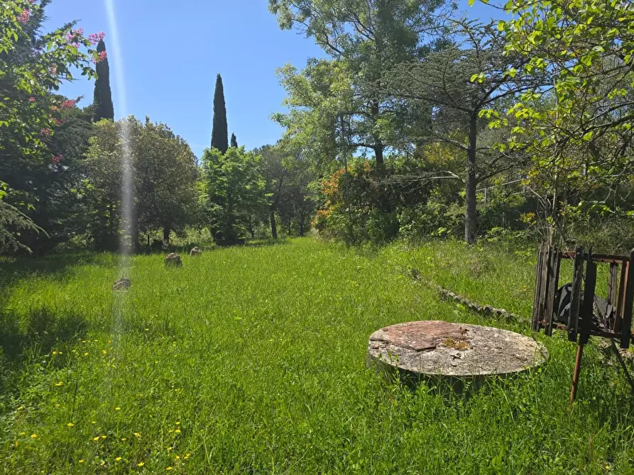 Immagine 16 di Casa indipendente in vendita  a Chiusdino