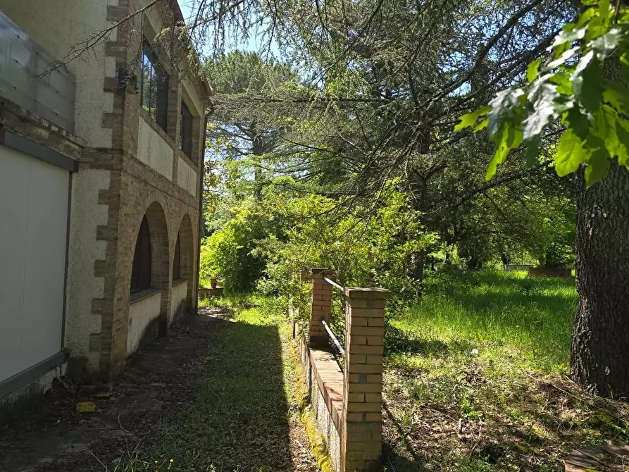 Immagine 15 di Casa indipendente in vendita  a Chiusdino