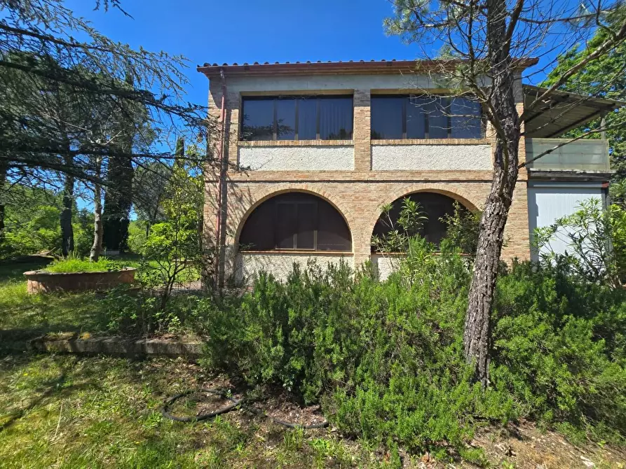 Immagine 5 di Casa indipendente in vendita  a Chiusdino