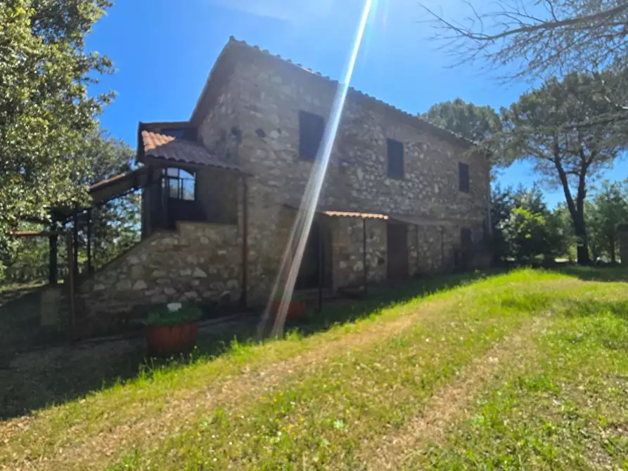 Immagine 13 di Casa indipendente in vendita  a Chiusdino