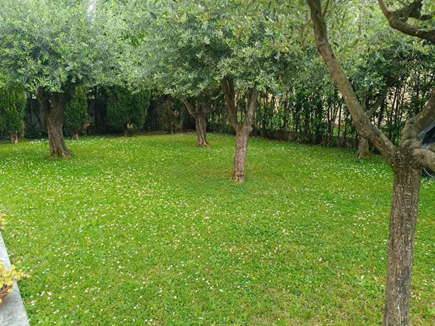 Immagine 19 di Villa in vendita  a Seravezza