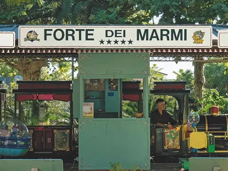 Immagine 17 di Appartamento in vendita  a Forte Dei Marmi
