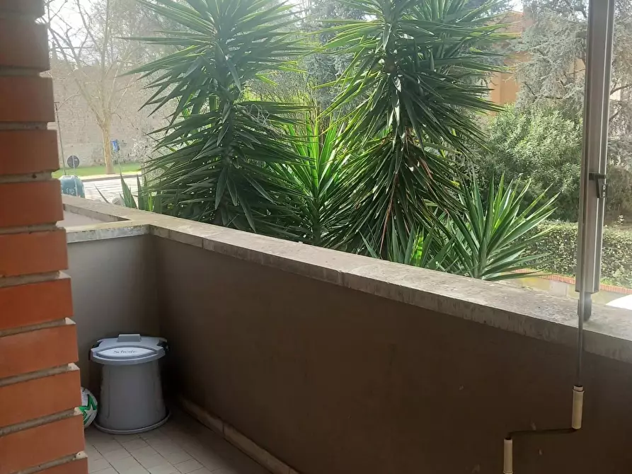 Immagine 2 di Appartamento in vendita  a Pisa