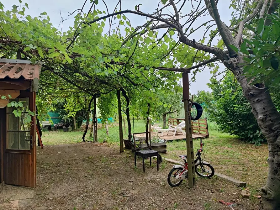 Immagine 3 di Terreno agricolo in vendita  a Livorno