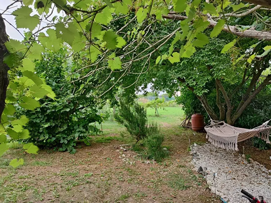 Immagine 1 di Terreno agricolo in vendita  a Livorno
