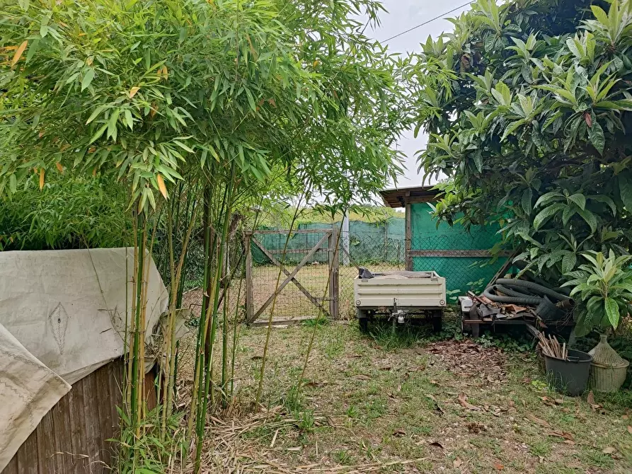 Immagine 11 di Terreno agricolo in vendita  a Livorno