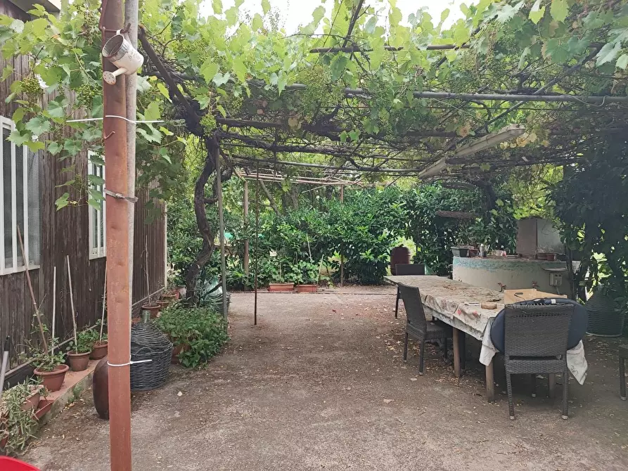 Immagine 5 di Terreno agricolo in vendita  a Livorno