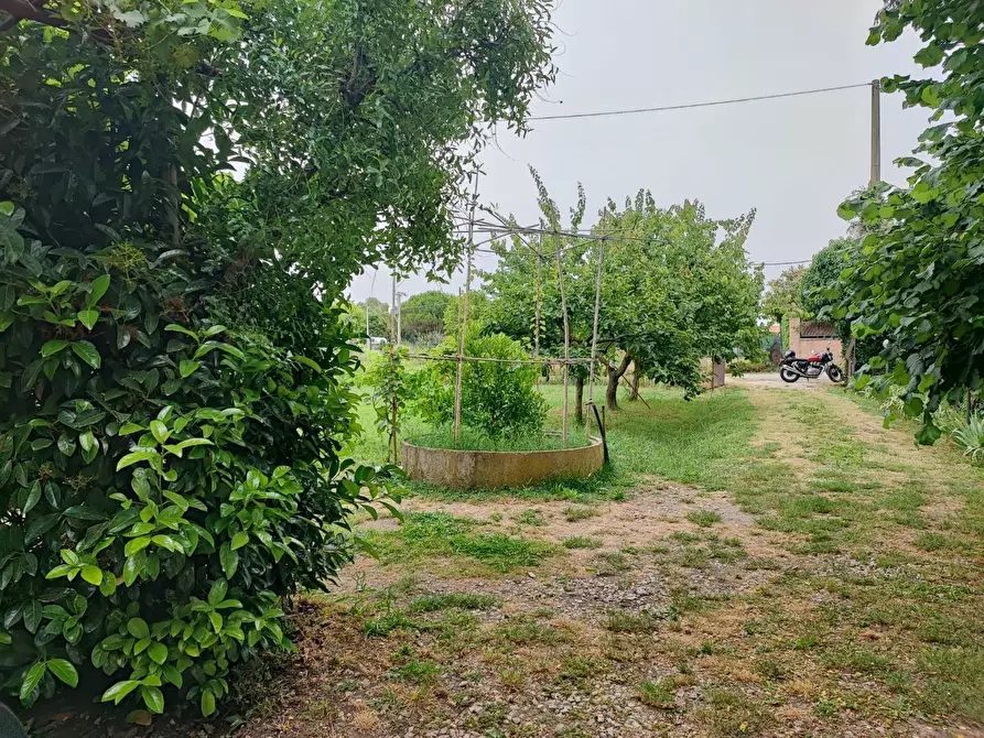 Immagine 2 di Terreno agricolo in vendita  a Livorno