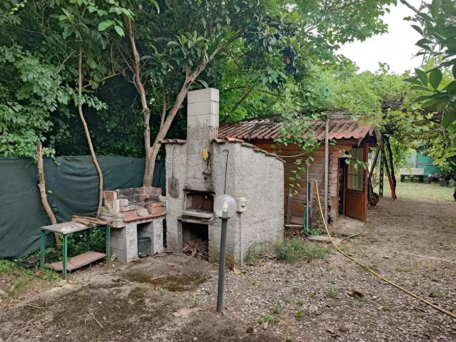 Immagine 12 di Terreno agricolo in vendita  a Livorno