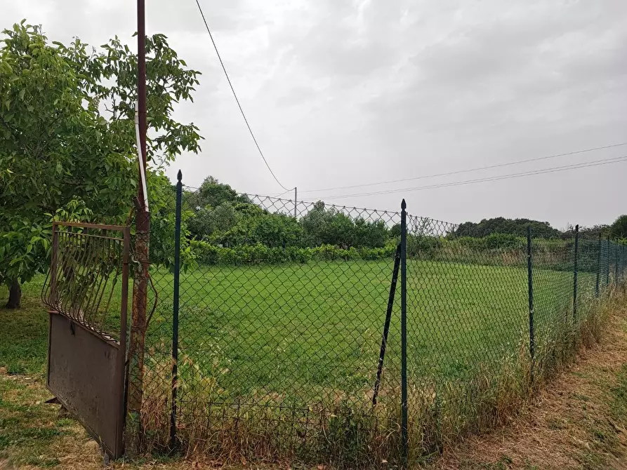 Immagine 10 di Terreno agricolo in vendita  a Livorno