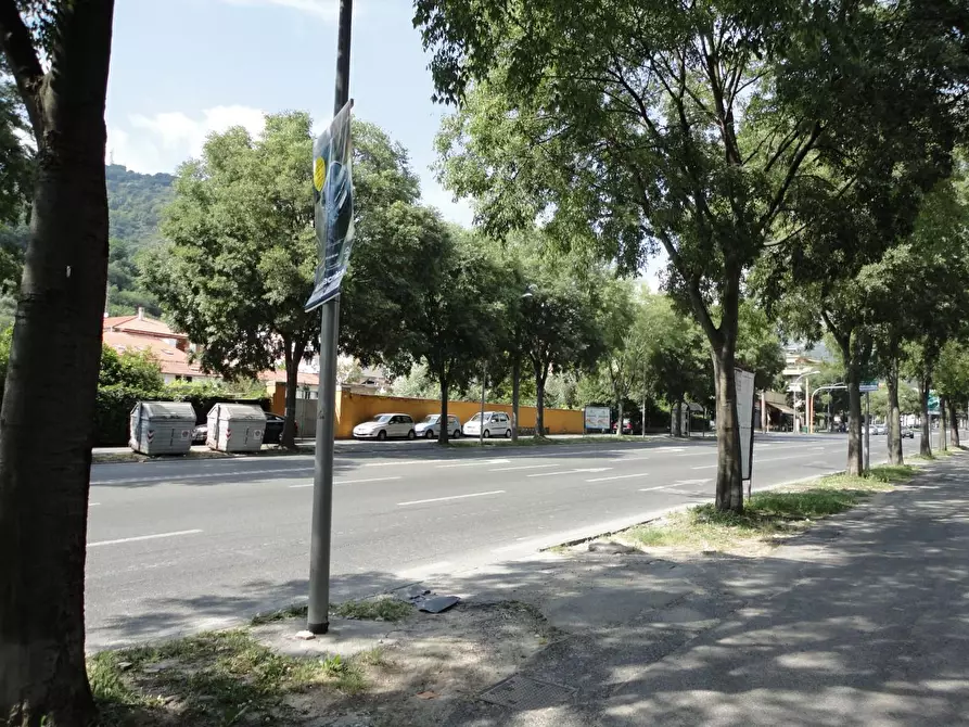 Immagine 6 di Negozio in affitto  a Carrara
