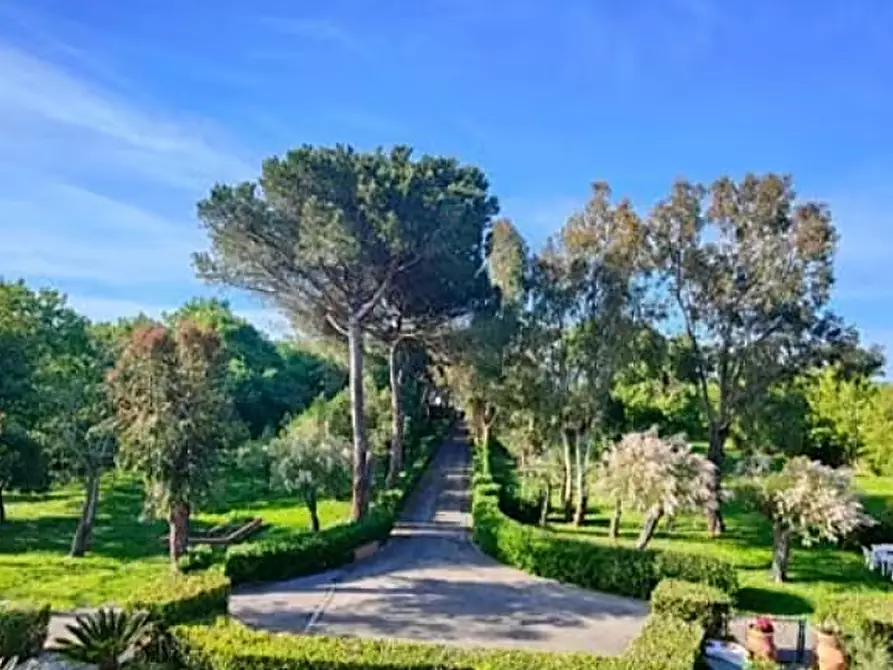 Immagine 10 di Villetta a schiera in vendita  a Pisa