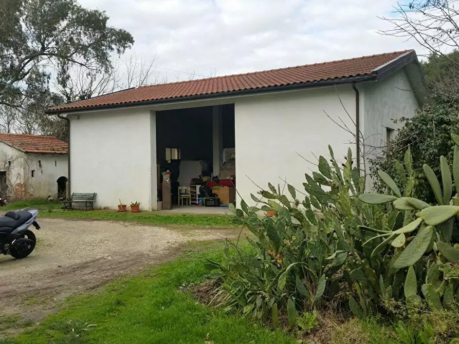 Immagine 14 di Rustico / casale in vendita  a Pisa