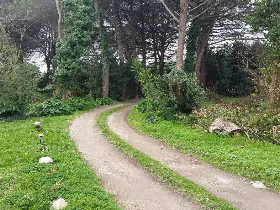 Immagine 10 di Rustico / casale in vendita  a Pisa