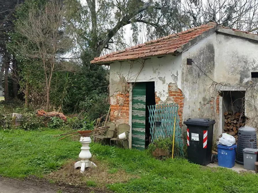 Immagine 7 di Rustico / casale in vendita  a Pisa