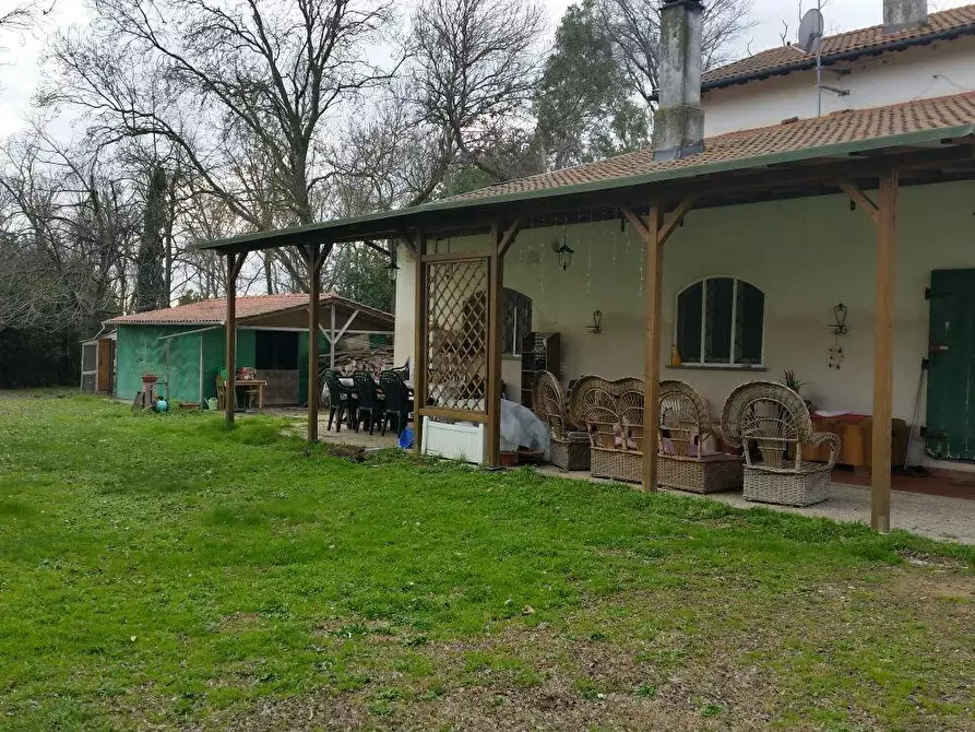 Immagine 5 di Rustico / casale in vendita  a Pisa
